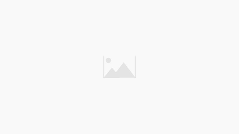 Правильные методы чистки зубов собаке рекомендации стоматолога для здоровой улыбки